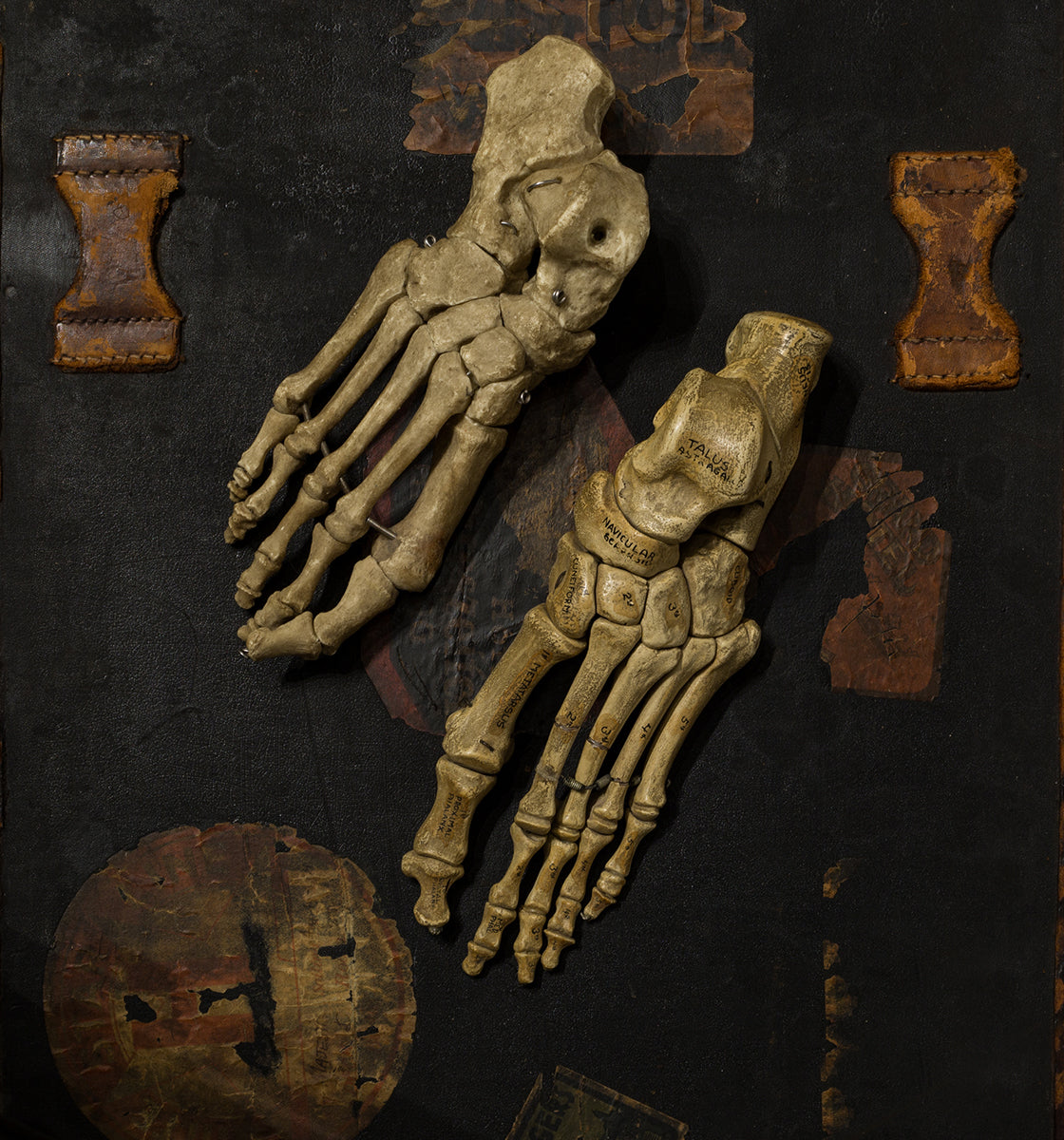 Antique Curiosities and Unusual Gifts | S16 Home