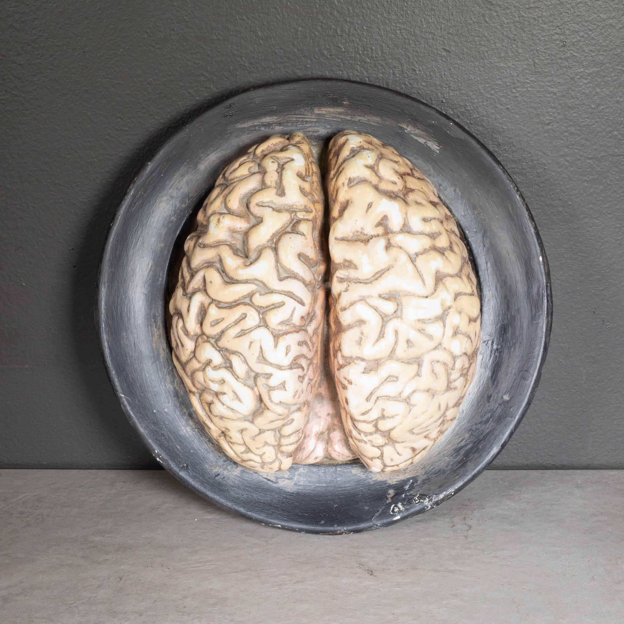 【ほぼ新品】plutonium Brain type-c 24/25 153cm 19th-century-bock-steger-