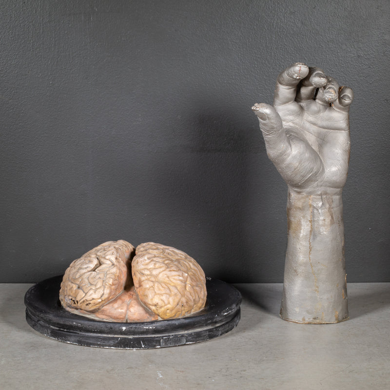 19th c. Bock-Steger Anatomical Brain Model, Germany