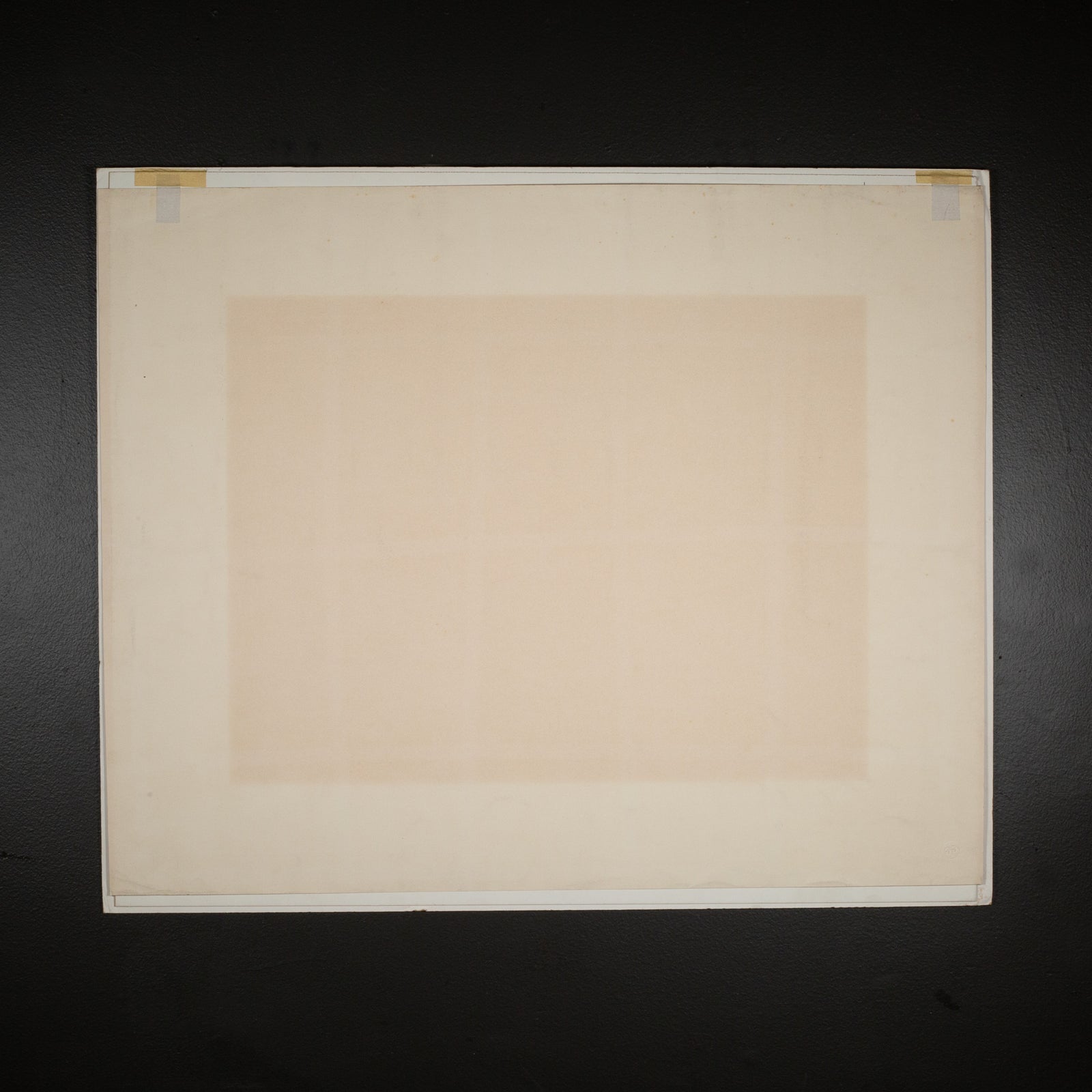 1A9A4531_1600x.jpg?v=1736467841