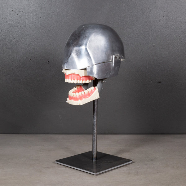 Mid-century Dental Phantom Head Model on Custom Stand c.1960s