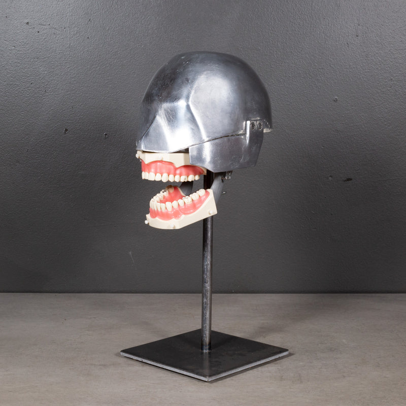 Mid-century Dental Phantom Head Model on Custom Stand c.1960s