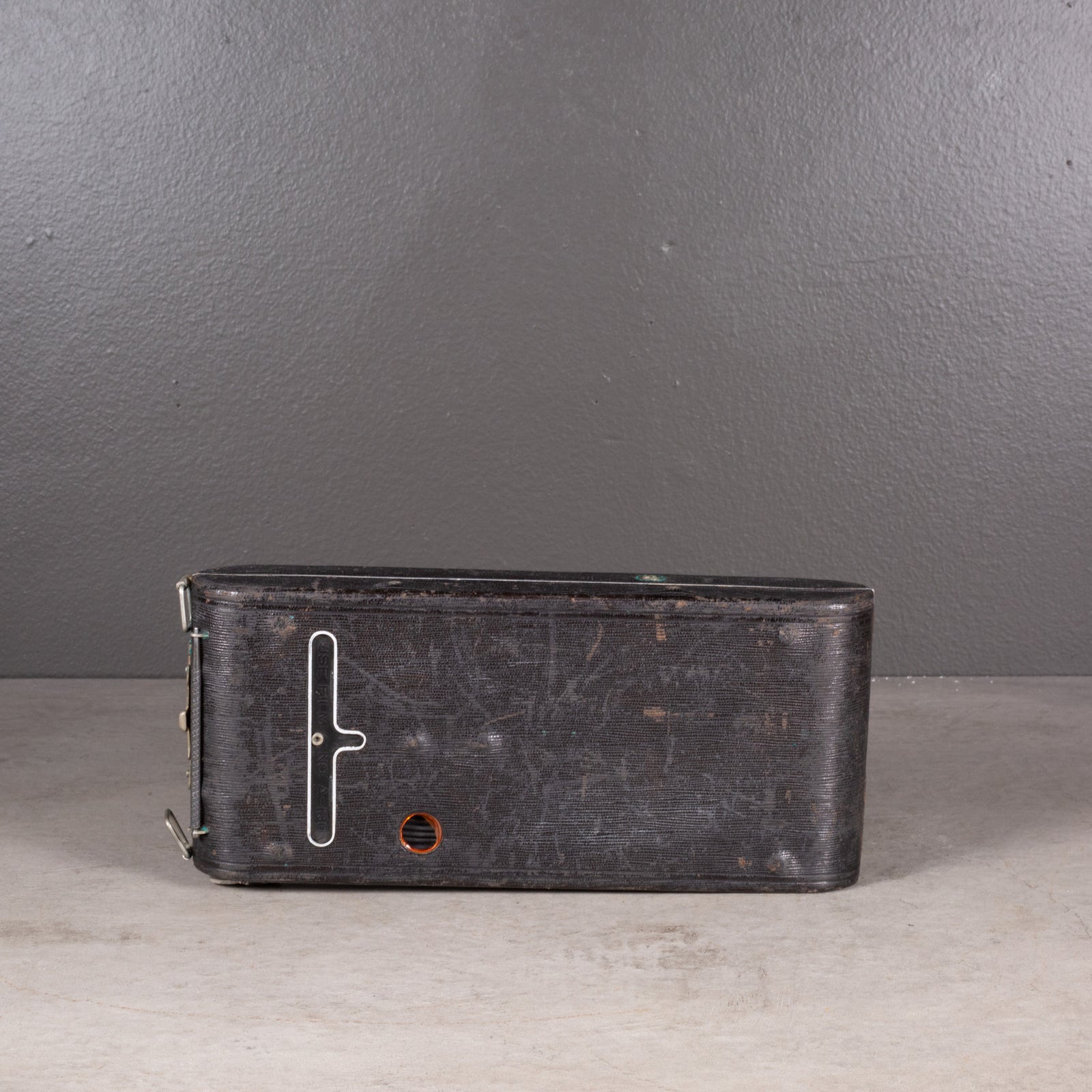 Antique Sealskin 