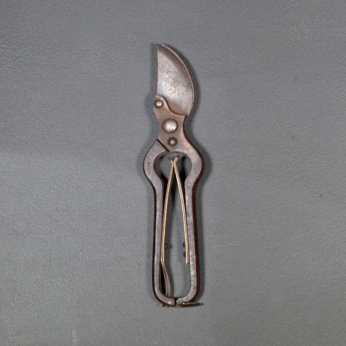 antique-spring-loaded-brass-steel-parrot-beak-pruning-shears-circa-1920-3_1200x.jpg?v%5Cu003d1740166875