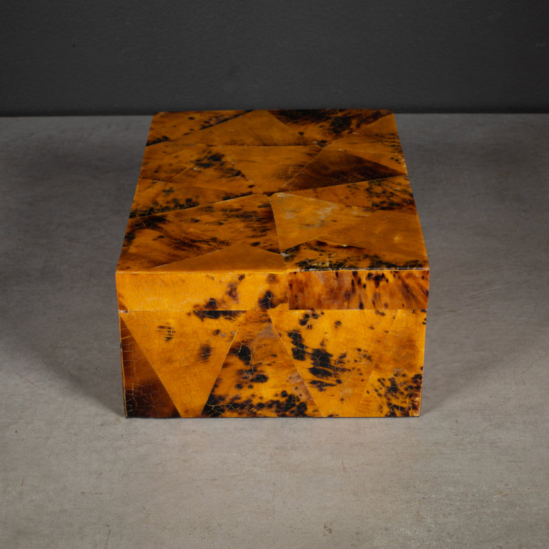 Faux Tortoise Shell Decorative Box