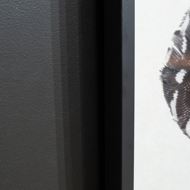 Feather Trilogy #5, Pheasant Wing Triptych