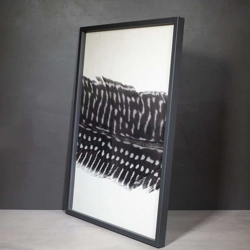 Feather Trilogy #5, Pheasant Wing Triptych