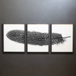 Feather Trilogy #5, Pheasant Wing Triptych