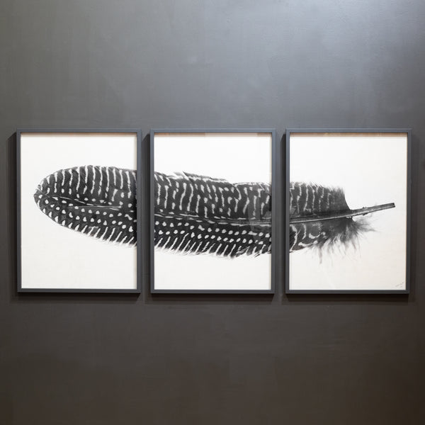 Feather Trilogy #5, Pheasant Wing Triptych