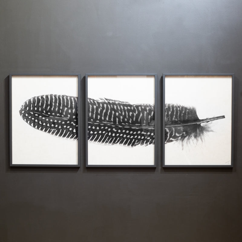 Feather Trilogy #5, Pheasant Wing Triptych