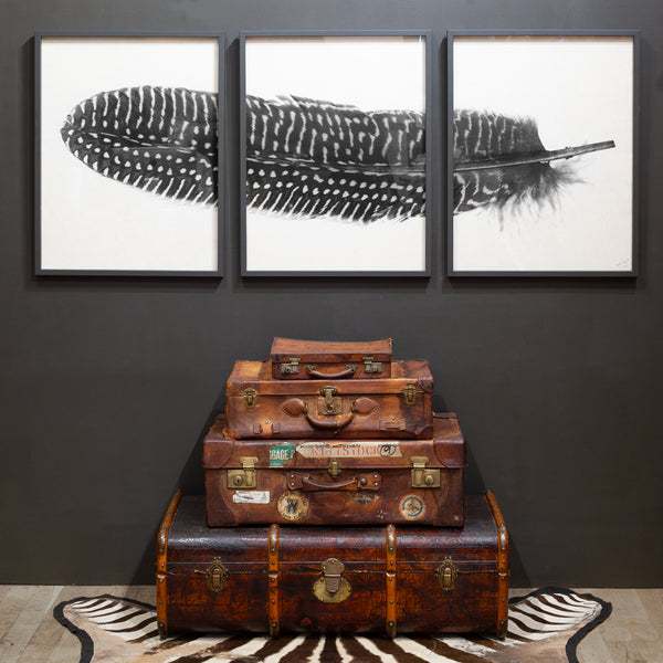 Feather Trilogy #5, Pheasant Wing Triptych