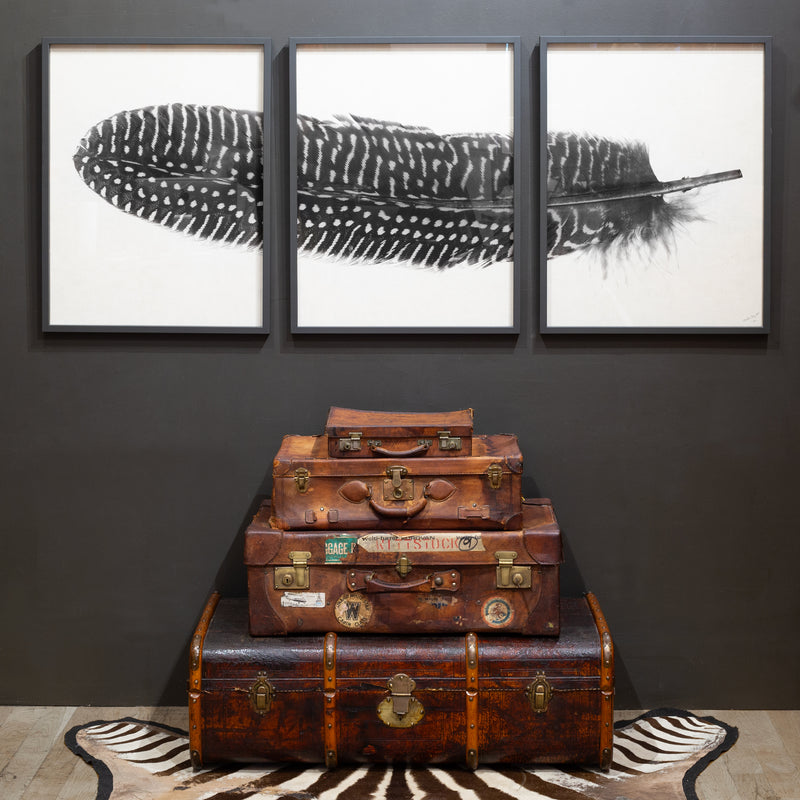 Feather Trilogy #5, Pheasant Wing Triptych