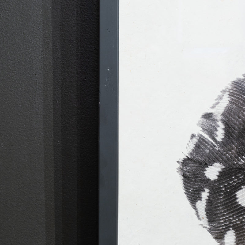 Feather Trilogy #5, Pheasant Wing Triptych