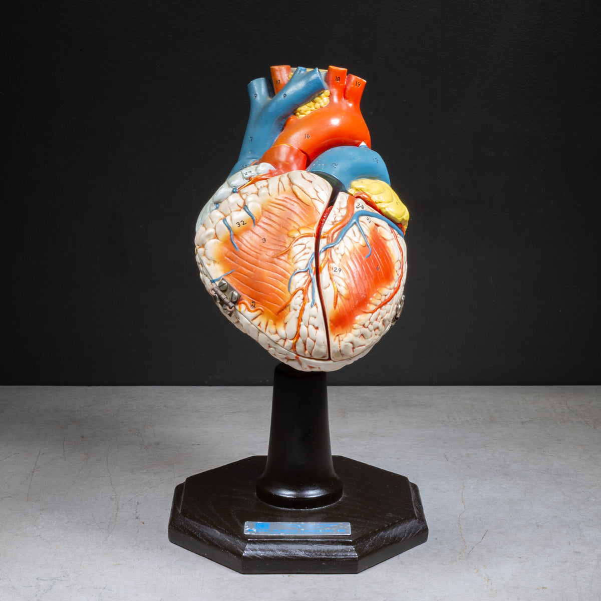 Antique Curiosities and Unusual Gifts | S16 Home