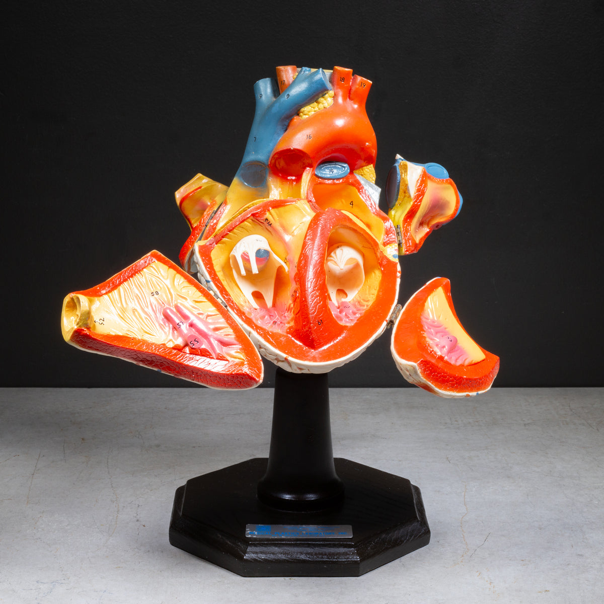 Antique Curiosities and Unusual Gifts | S16 Home