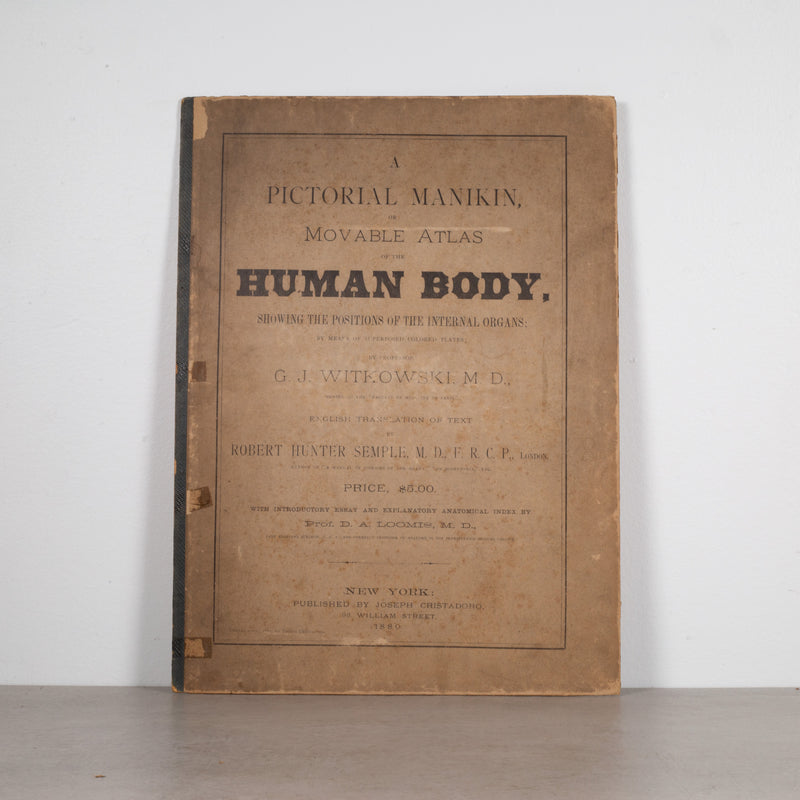 19th c. Medical Movable Atlas Book of the Human Body c.1880