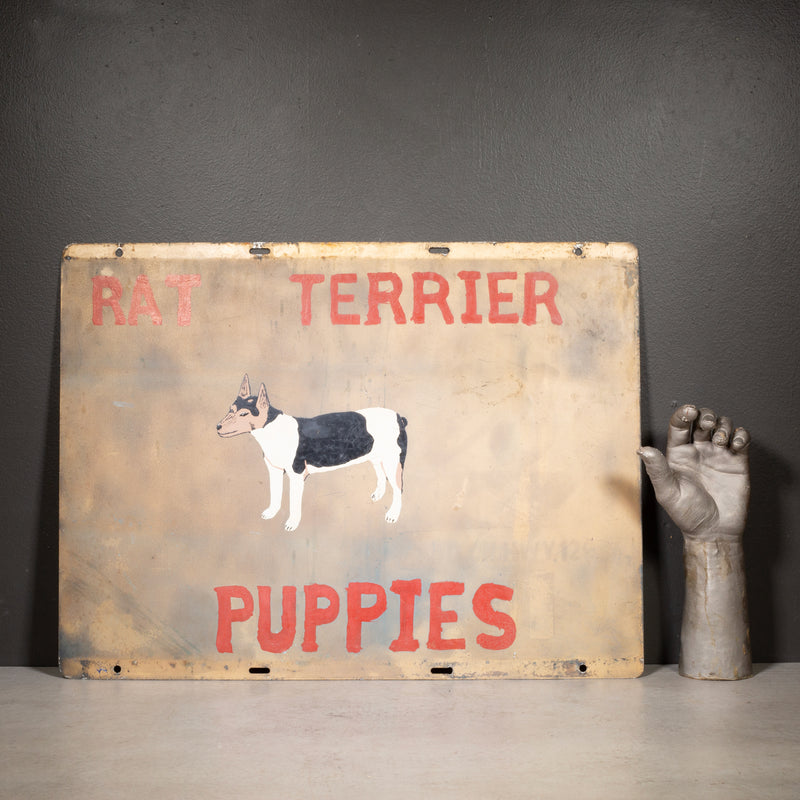 Vintage Double Sided Rat Terrier Puppies Sign c.1930