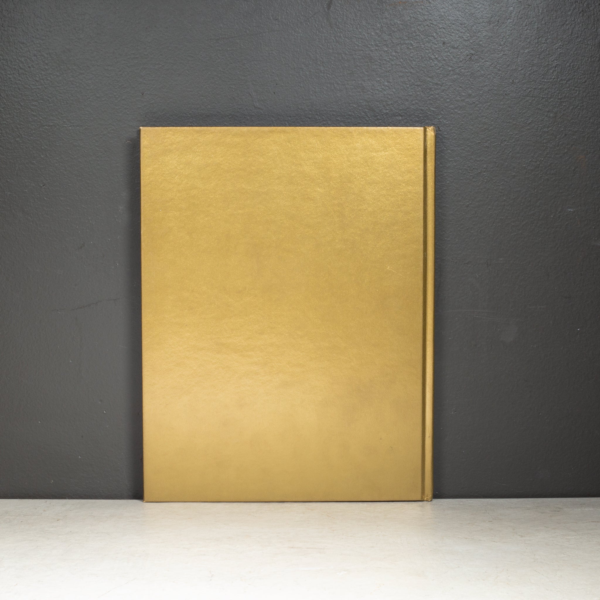 First Edition Robert Mapplethorpe Early Works 1970-1974 | S16 Home