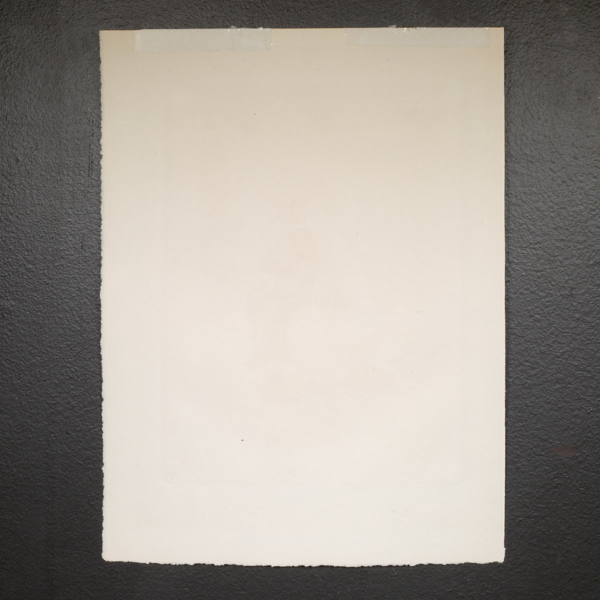 Photographs | S16 Home