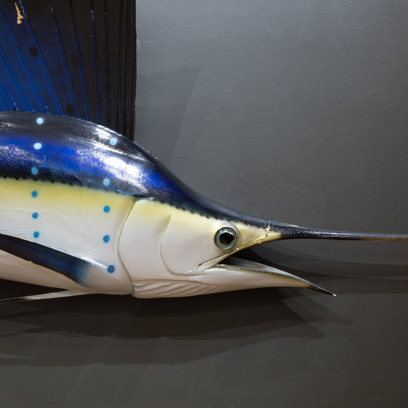 Vintage Taxidermy Sailfish Mount c.1970