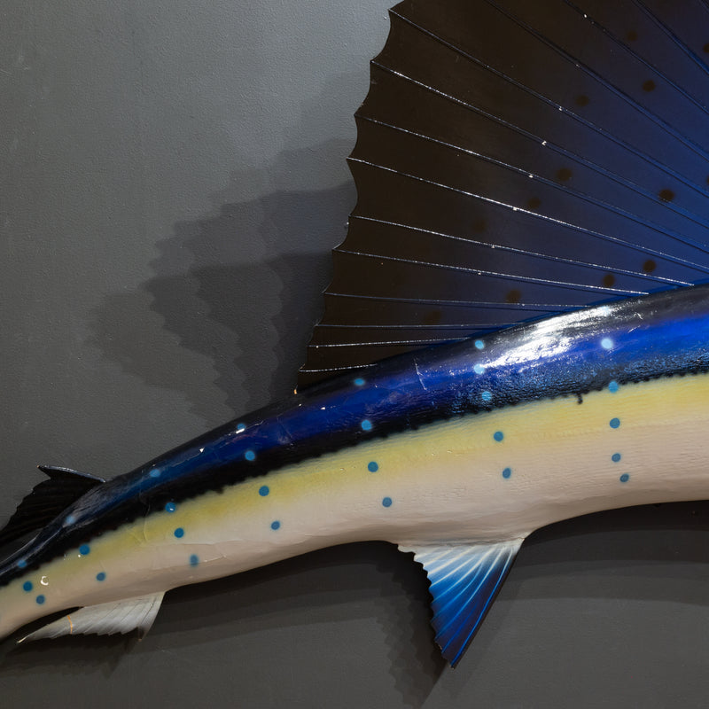 Vintage Taxidermy Sailfish Mount c.1970