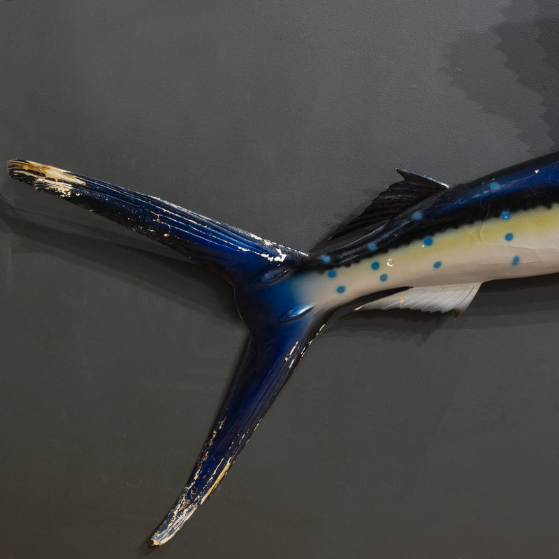 Vintage Taxidermy Sailfish Mount c.1970
