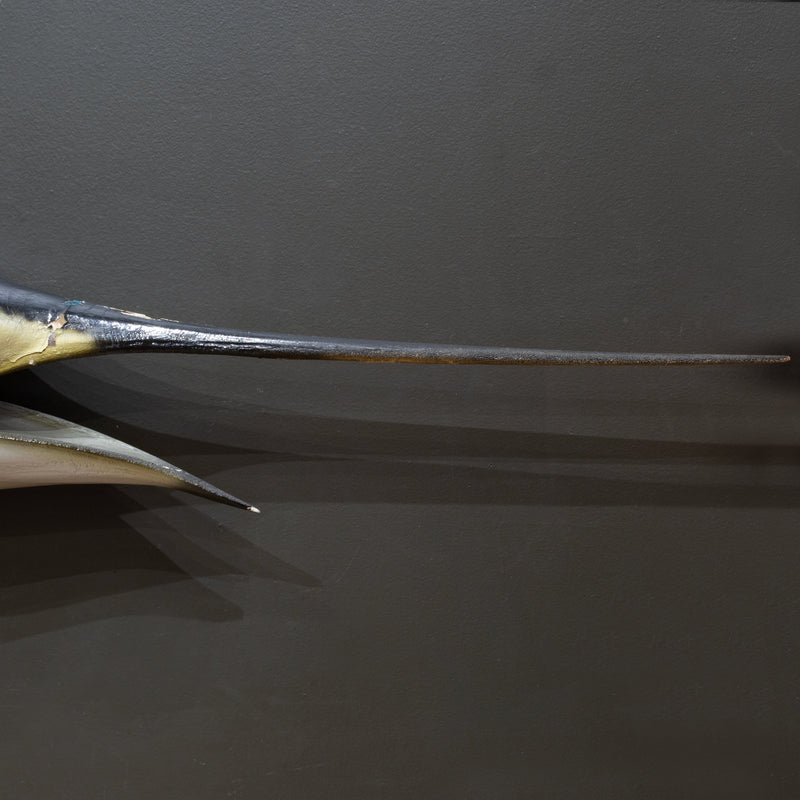 Vintage Taxidermy Sailfish Mount c.1970
