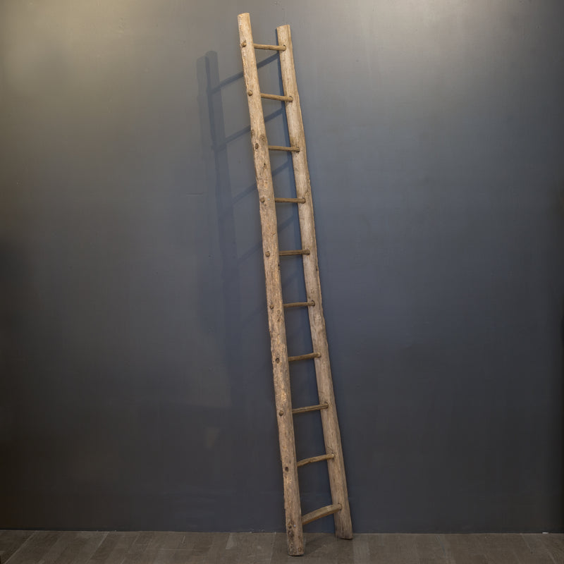 Native Ladder Antique Primitive Handmade Rustic Ladder c.1920 | S16 Home