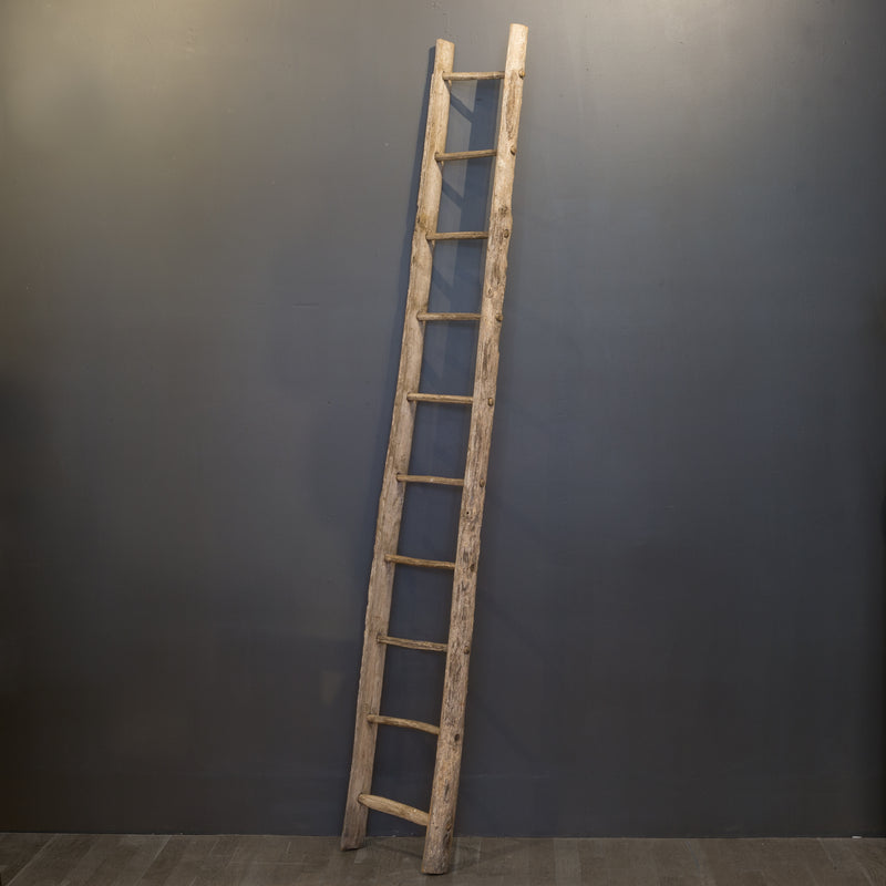 Native Ladder Antique Primitive Handmade Rustic Ladder c.1920 | S16 Home