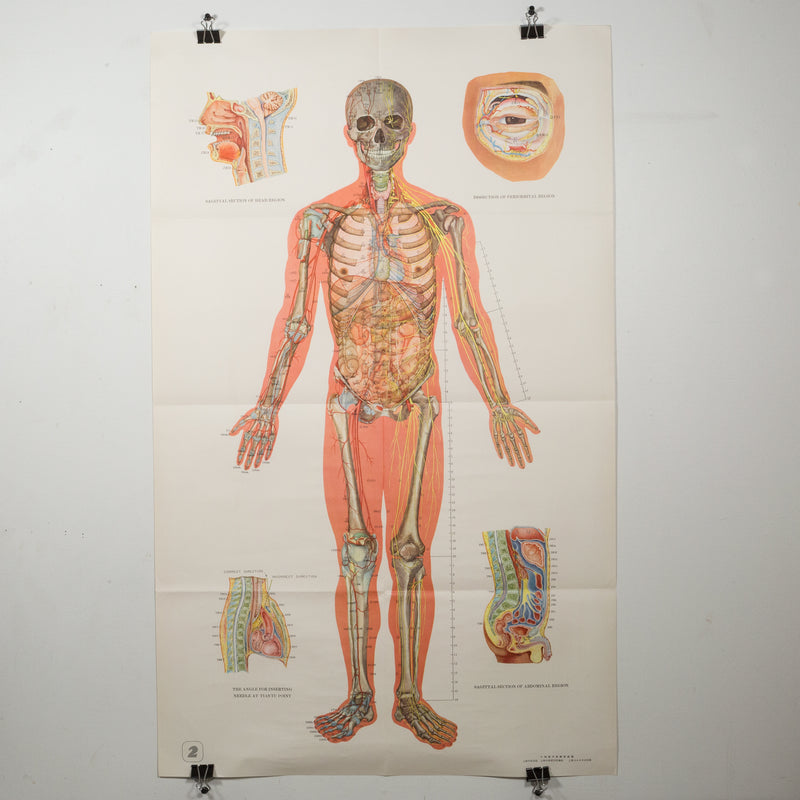 Vintage Chinese Acupuncture Posters c.1976