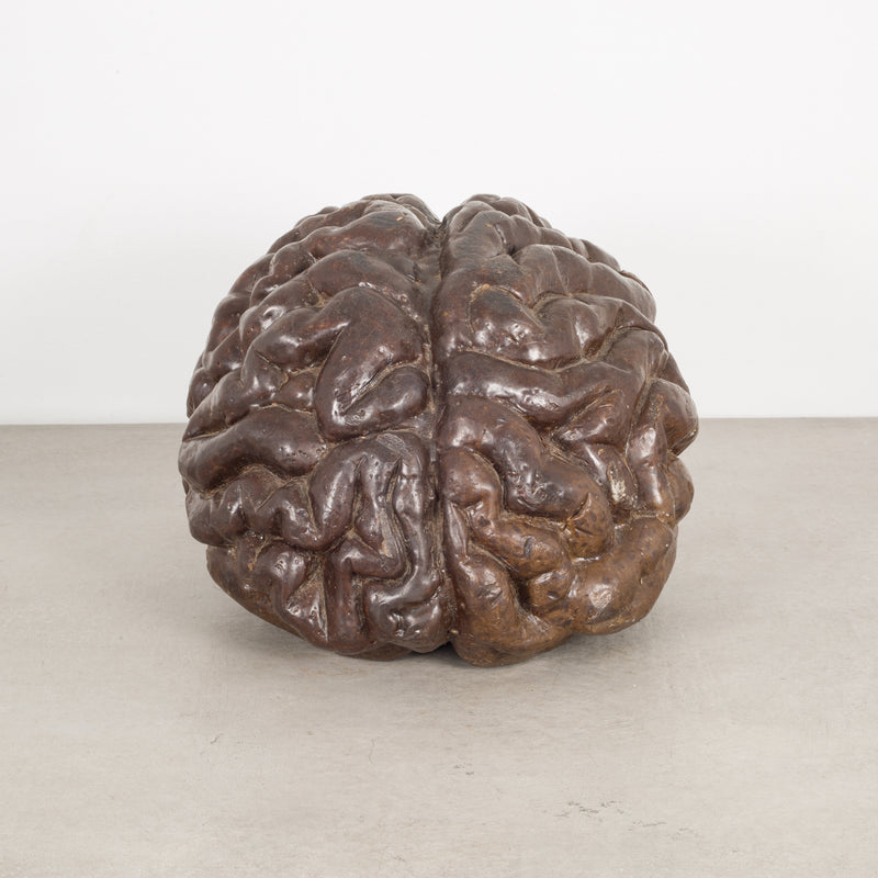 Lost Wax Casting of a Brain c.1940