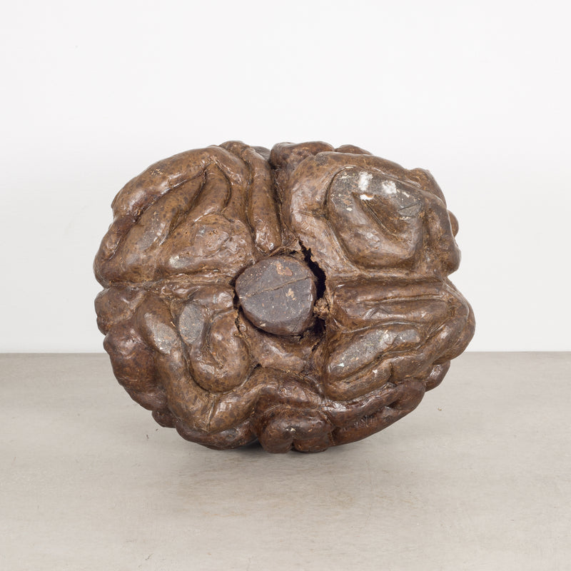 Lost Wax Casting of a Brain c.1940